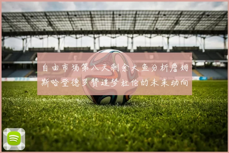 自由市场第八天剩余大鱼分析詹姆斯哈登德罗赞追梦杜伦的未来动向