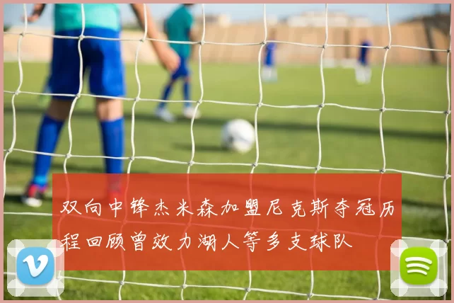 双向中锋杰米森加盟尼克斯夺冠历程回顾曾效力湖人等多支球队